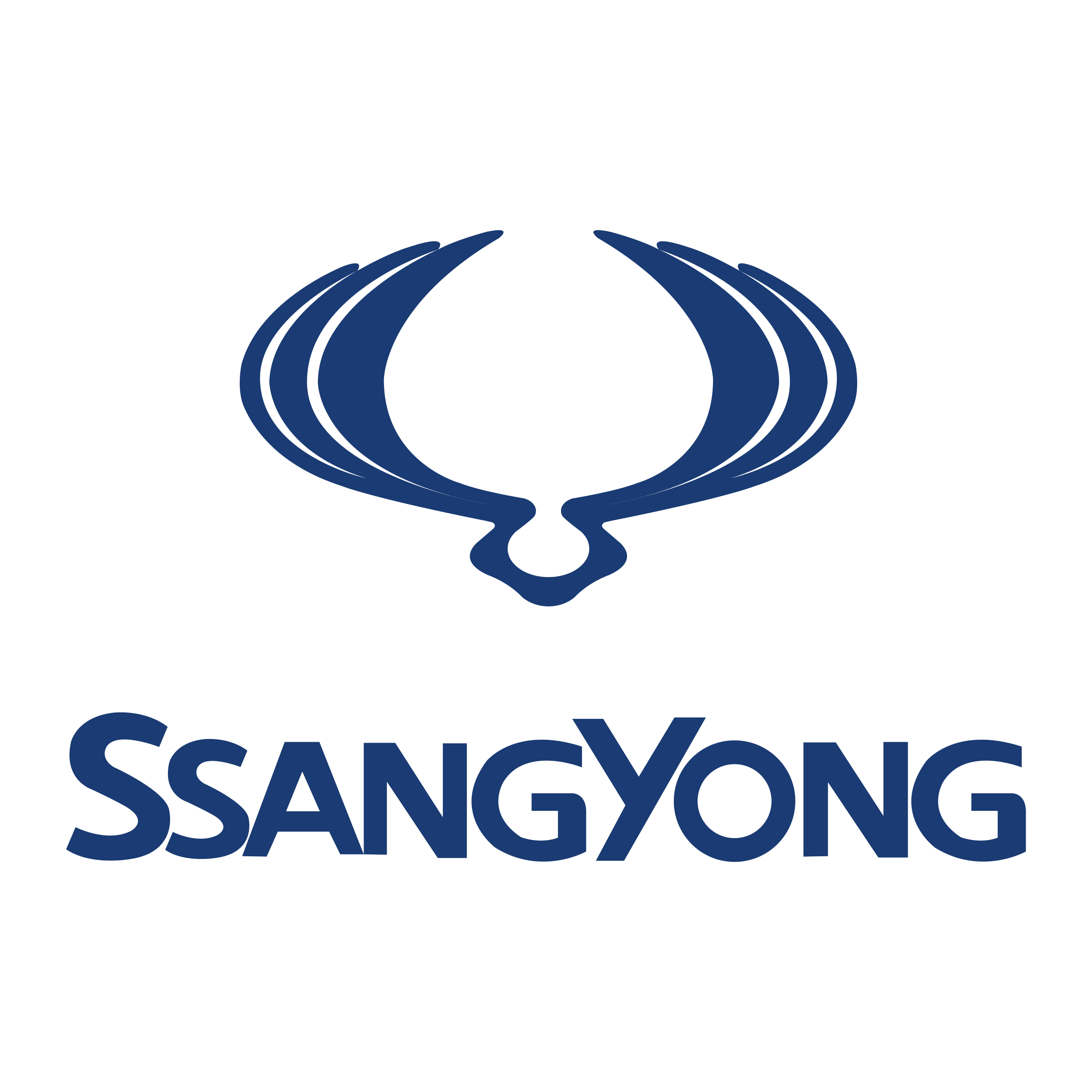 SsangYong